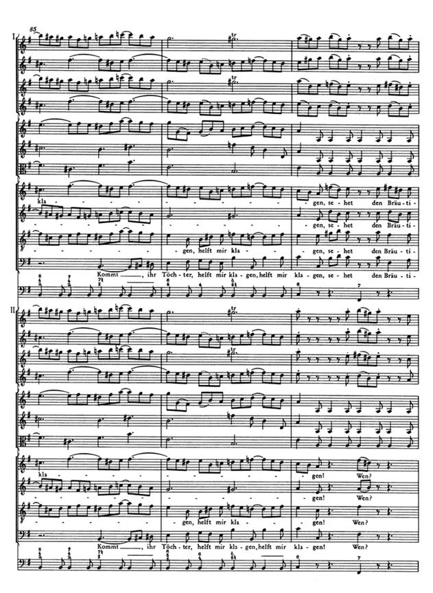 Mattheus Passion BWV244